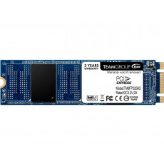Solid State Drive (SSD) 128 Gb Team Elite MP32 (TM8FP3128G0C101) Solid State Drive (SSD) 128 Gb Team Elite MP32 (TM8FP3128G0C101)