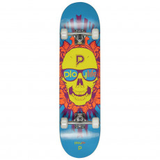 Skateboard PlayLife (Powerslide) Skullhead ( 880280 ), Черный/ Голубой Skateboard PlayLife (Powerslide) Skullhead ( 880280 ), Черный/ Голубой