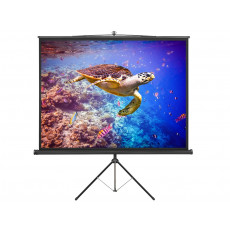 Ecran de proiectie Elite Screens T120NWV1 Ecran de proiectie Elite Screens T120NWV1