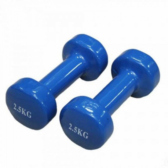 Halteră Shuanghai Sport A8025 (2,5 kg)