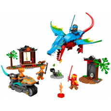 Lego Ninjago 71759 Constructor Templul dragonilor ninja