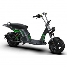 Scooter electric Citycoco TX-X18-C, 3900 W, 40 Ah, Verde