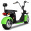 Scooter electric Citycoco TX-07, 1500 W, 12 Ah, Verde