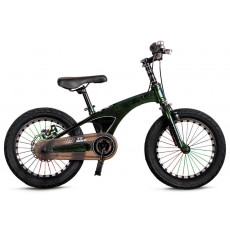 Велосипед детский TyBike BK-08 Green (20")